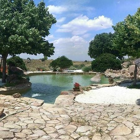 Argés Finca El Cerco A 5M De Puy Du Fou Y 10M A Casco Antiguo De Toledoヴィラ エクステリア 写真