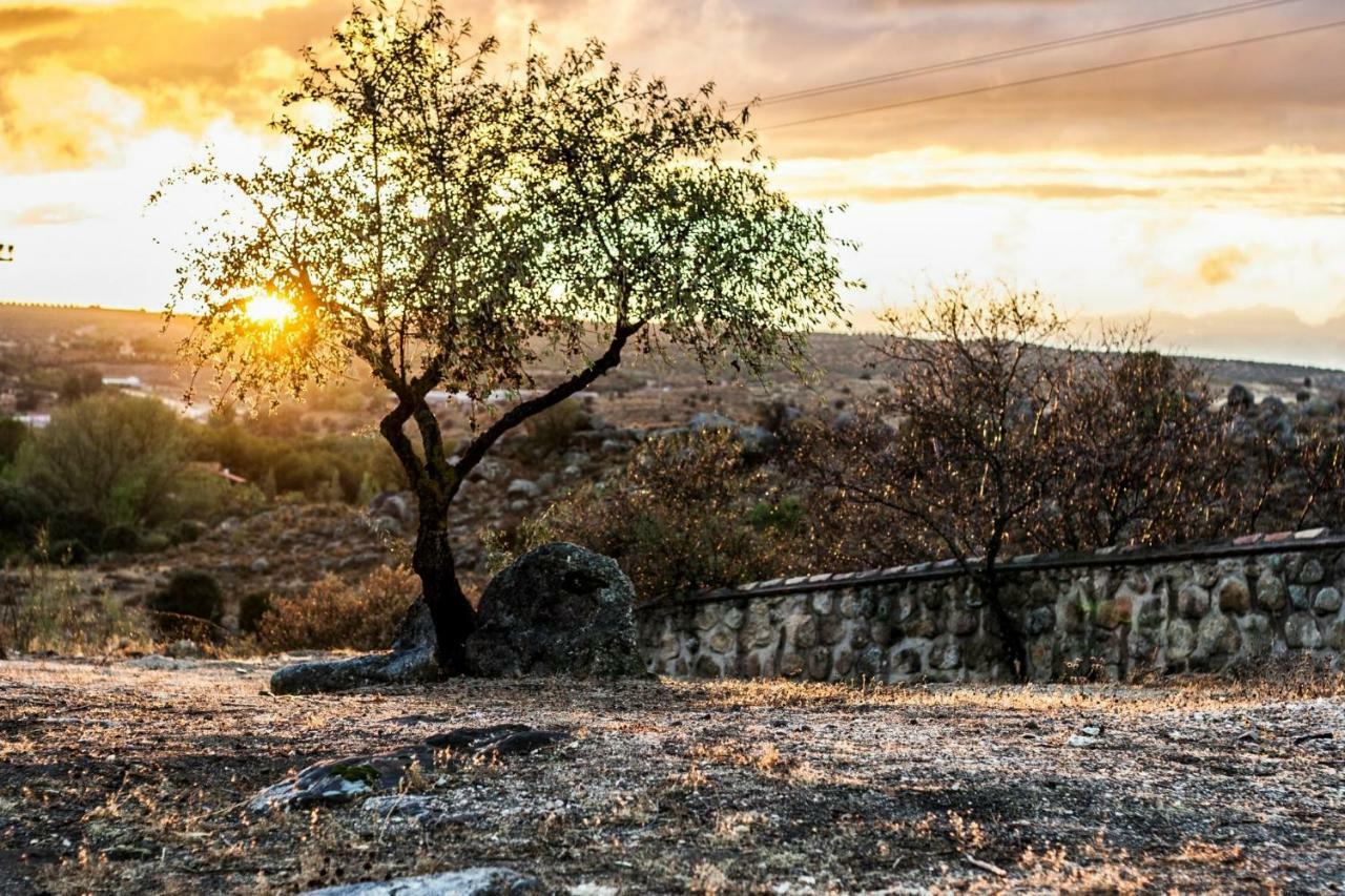 Argés Finca El Cerco A 5M De Puy Du Fou Y 10M A Casco Antiguo De Toledoヴィラ エクステリア 写真