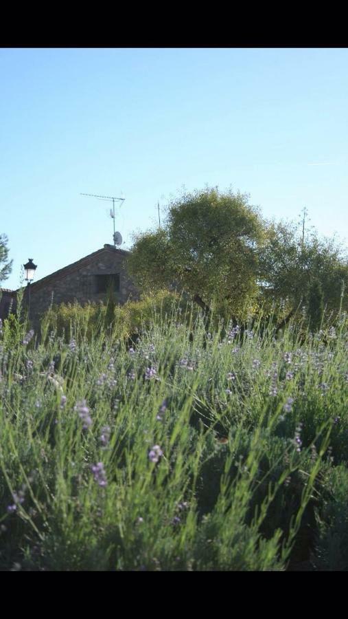 Argés Finca El Cerco A 5M De Puy Du Fou Y 10M A Casco Antiguo De Toledoヴィラ エクステリア 写真
