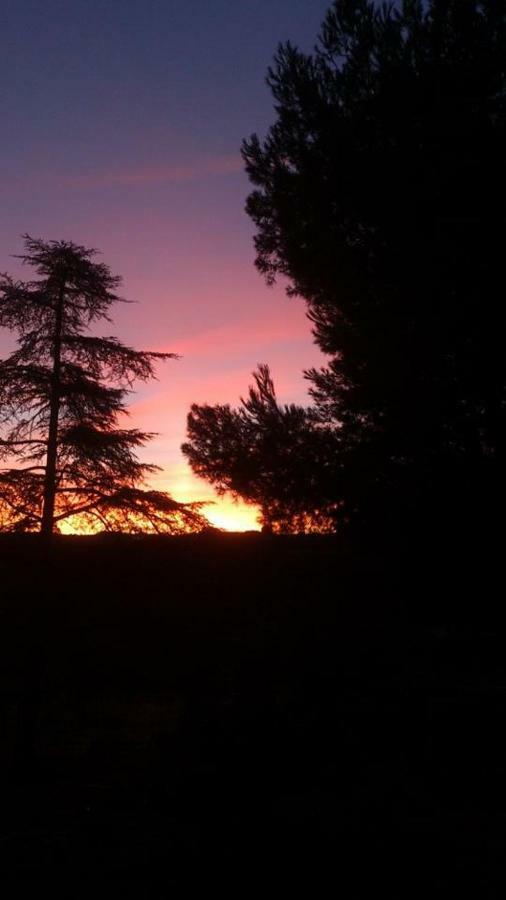 Argés Finca El Cerco A 5M De Puy Du Fou Y 10M A Casco Antiguo De Toledoヴィラ エクステリア 写真