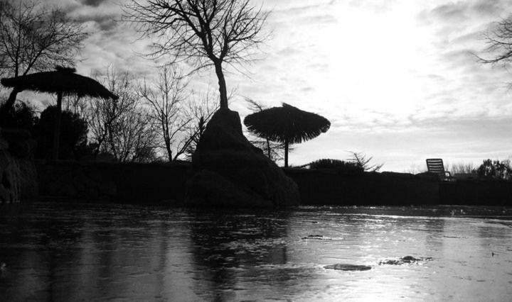 Argés Finca El Cerco A 5M De Puy Du Fou Y 10M A Casco Antiguo De Toledoヴィラ エクステリア 写真