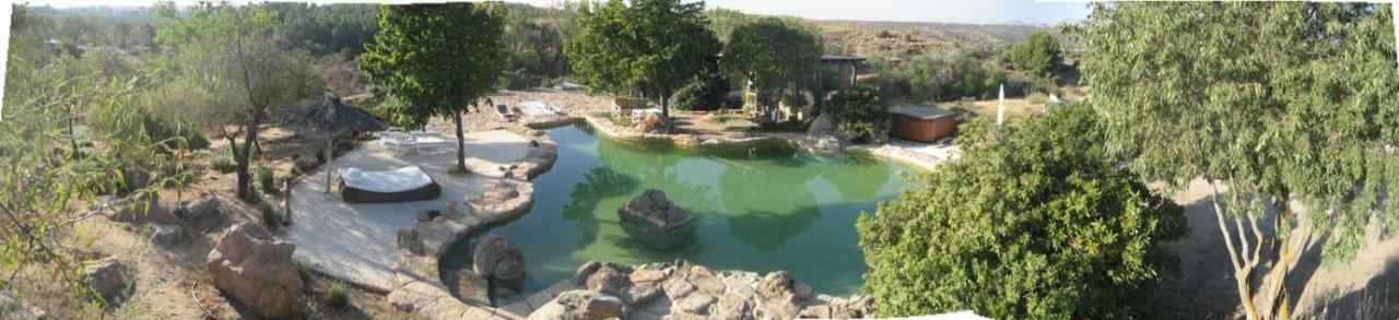 Argés Finca El Cerco A 5M De Puy Du Fou Y 10M A Casco Antiguo De Toledoヴィラ エクステリア 写真