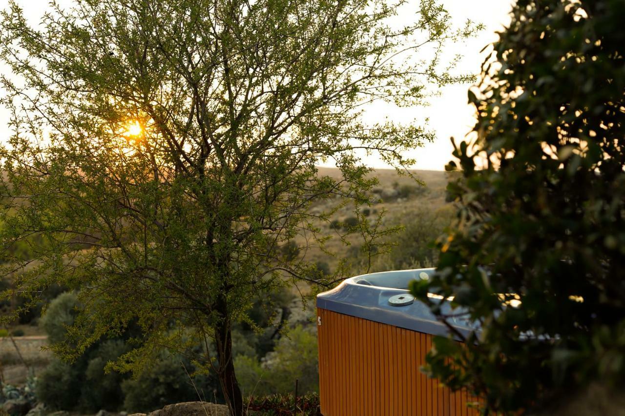 Argés Finca El Cerco A 5M De Puy Du Fou Y 10M A Casco Antiguo De Toledoヴィラ エクステリア 写真