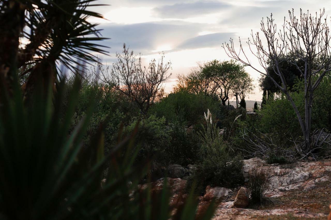 Argés Finca El Cerco A 5M De Puy Du Fou Y 10M A Casco Antiguo De Toledoヴィラ エクステリア 写真